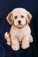 Load image into Gallery viewer, You’ve Got a Friend in Me Sweater
