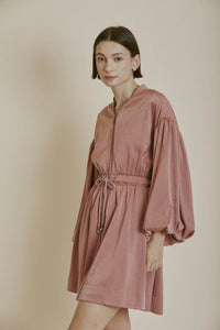 Always Right Mauve Utility Dress